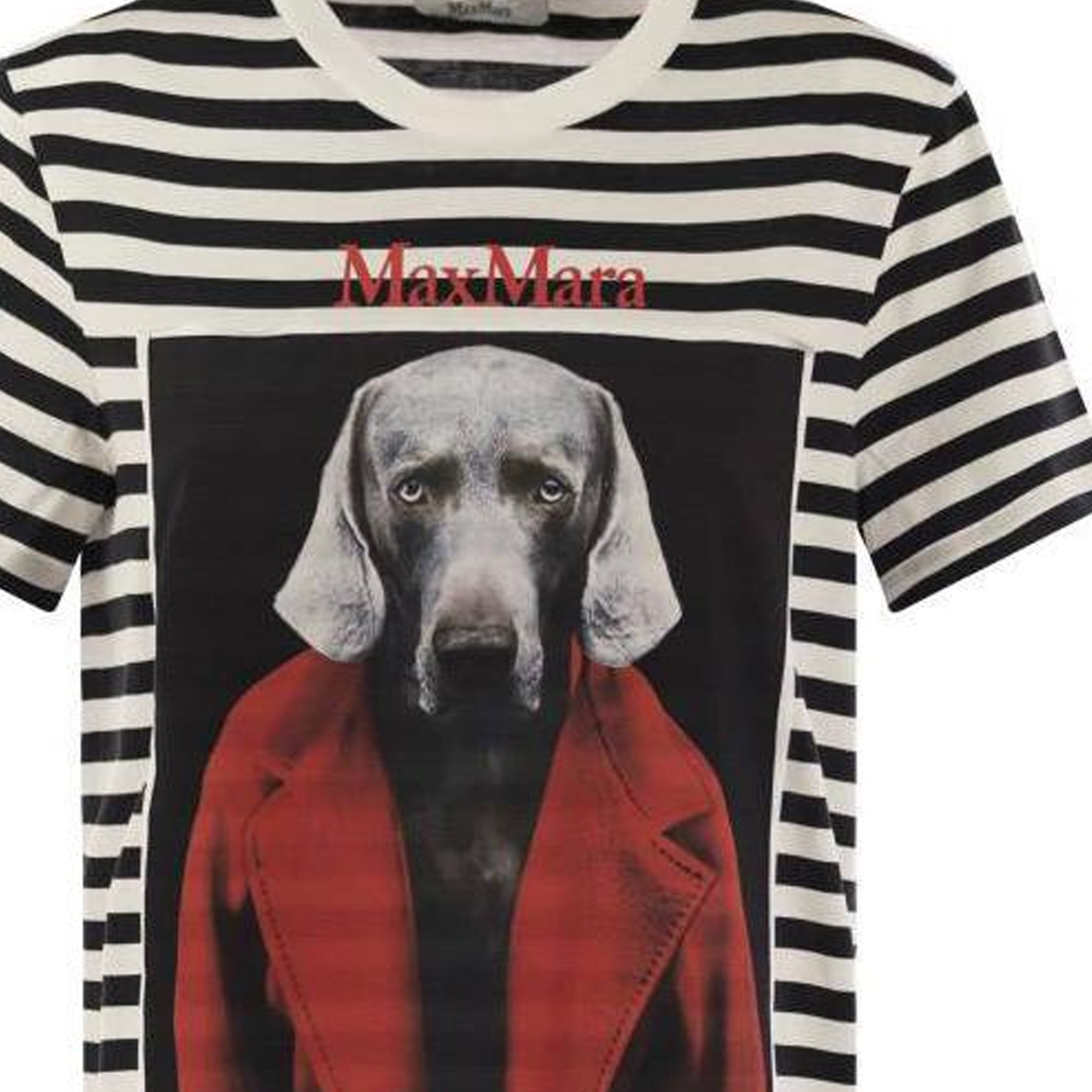 Sizing (Women) 'S Max Mara MaxMara  Black Striped Animal Print Crewneck T-Shirt. 1946084106003