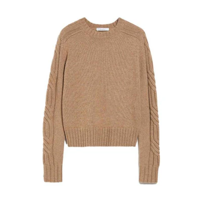 (Women) 'S Max Mara MaxMara Brown Cable Knit Crew Neck Sweater Long Sleeve 2411361151600003