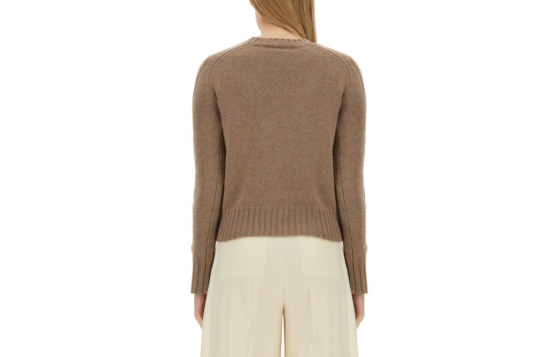 (Women) 'S Max Mara MaxMara  Brown Slim Fit Crew Neck Knit Sweater Long Sleeve 2411361151600013-003 圖 3