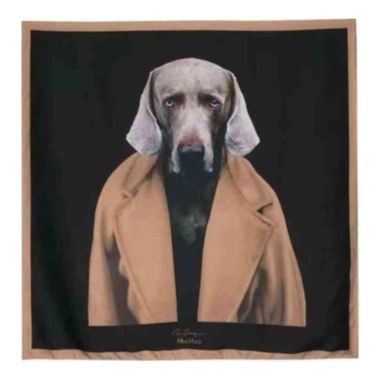 (Women) 'S Max Mara MaxMara  Printed Silk Scarf in Black. 2424546151600CARREMAD004