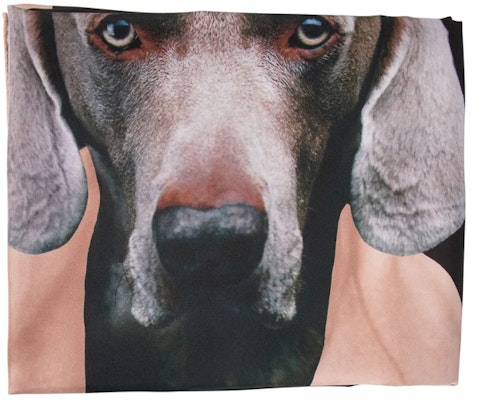 (W) ''M Max Mara MaxMara 黑色印花真絲圍巾'' 2424546151600CARREMAD004 Order (W) ''M Max Mara MaxMara 黑色印花真絲圍巾'' 2424546151600CARREMAD004