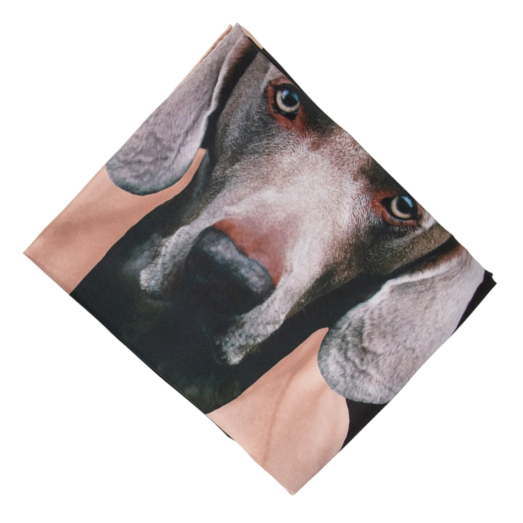 Lookbook (W) ''M Max Mara MaxMara 黑色印花真絲圍巾'' 2424546151600CARREMAD004