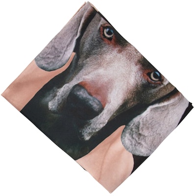 (W) ''M Max Mara MaxMara 黑色印花真絲圍巾'' 2424546151600CARREMAD004 Lookbook (W) ''M Max Mara MaxMara 黑色印花真絲圍巾'' 2424546151600CARREMAD004