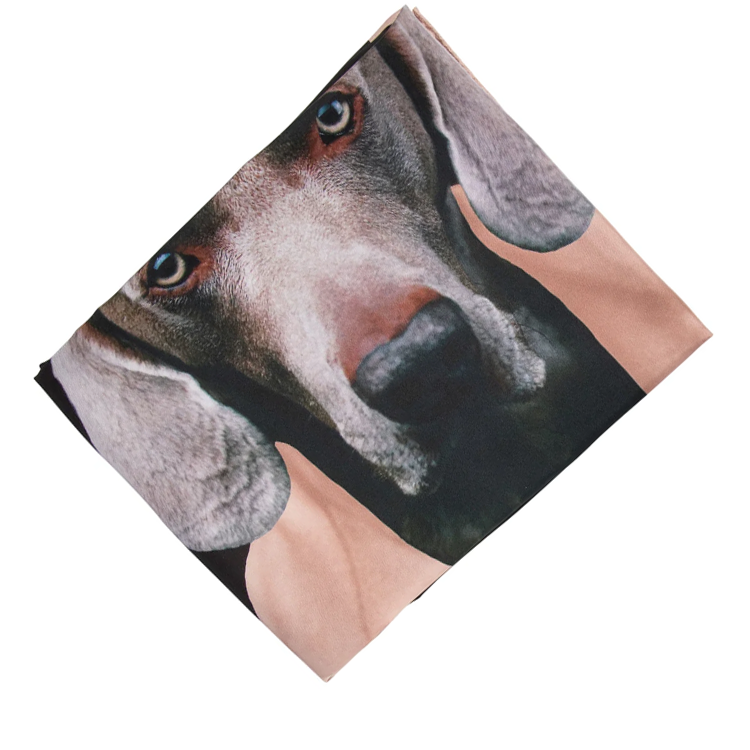 Shop (W) ''M Max Mara MaxMara 黑色印花真絲圍巾'' 2424546151600CARREMAD004