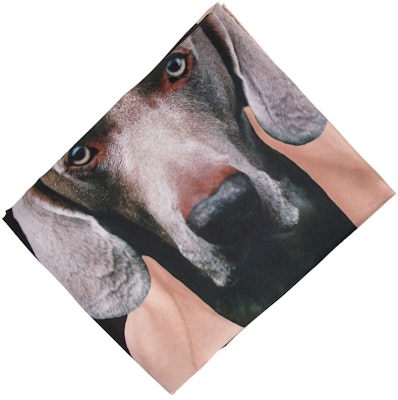 (W) ''M Max Mara MaxMara 黑色印花真絲圍巾'' 2424546151600CARREMAD004 Shop (W) ''M Max Mara MaxMara 黑色印花真絲圍巾'' 2424546151600CARREMAD004