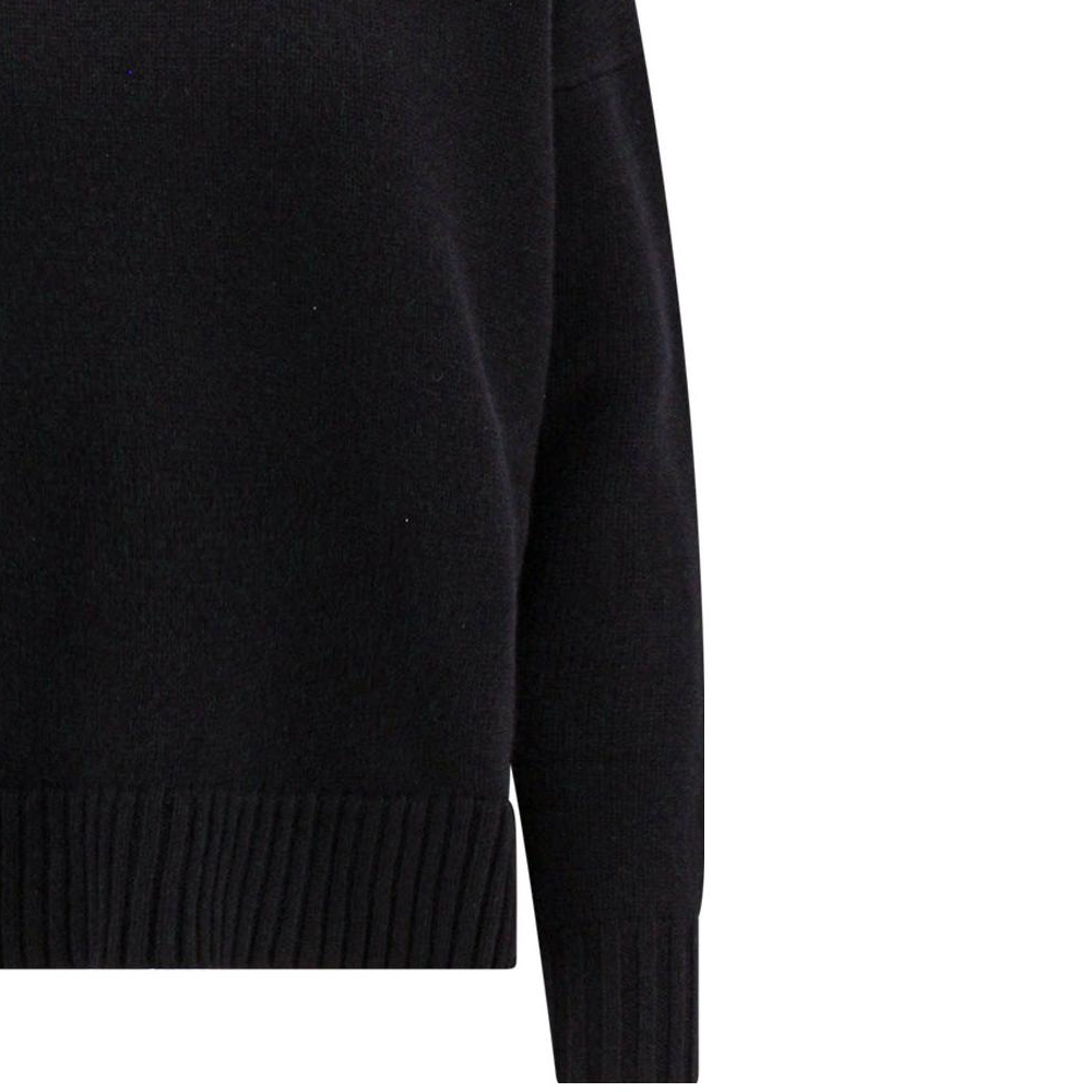 Details for (Women) 'S Max Mara MaxMara  Solid Black Turtleneck Knitted Sweater Long Sleeve 2313661233600-004