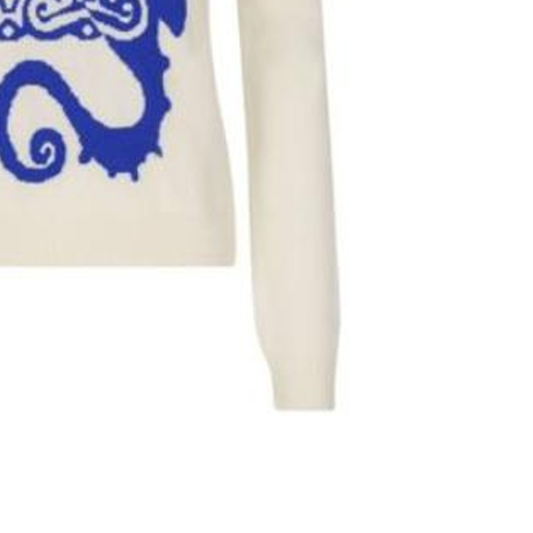 (Women) 'S Max Mara MaxMara  White Blue Sweater with Seahorse Pattern. 2313611731600-023 圖 7