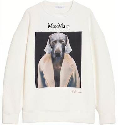 (Women) 'S Max Mara MaxMara Bacco Cotton Sweatshirt Wegman Print Ivory Crewneck Long Sleeve 1926014106005-BACCO Buy (Women) 'S Max Mara MaxMara Bacco Cotton Sweatshirt Wegman Print Ivory Crewneck Long Sleeve 1926014106005-BACCO
