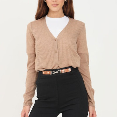 (Women) 'S Max Mara MaxMara Camel Wool Knit V-Neck Sweater Casual Style 63460219600-004 Shop (Women) 'S Max Mara MaxMara Camel Wool Knit V-Neck Sweater Casual Style 63460219600-004