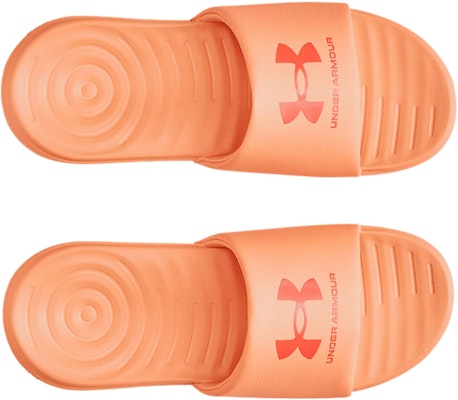(W) Under Armour Ansa Fixed Slide 'Naranja Tropical' 3023772-801 Shop (W) Under Armour Ansa Fixed Slide 'Naranja Tropical' 3023772-801
