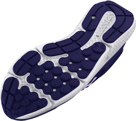 (W) UAチャージドアサート10「ソナーブルー」 3026179-501 Purchase (W) UAチャージドアサート10「ソナーブルー」 3026179-501