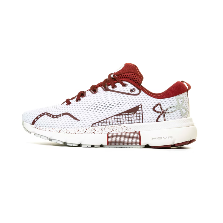 (Women) Under Armour HOVR Infinite 5 Collegiate 'University of South Carolina' 3027422-101