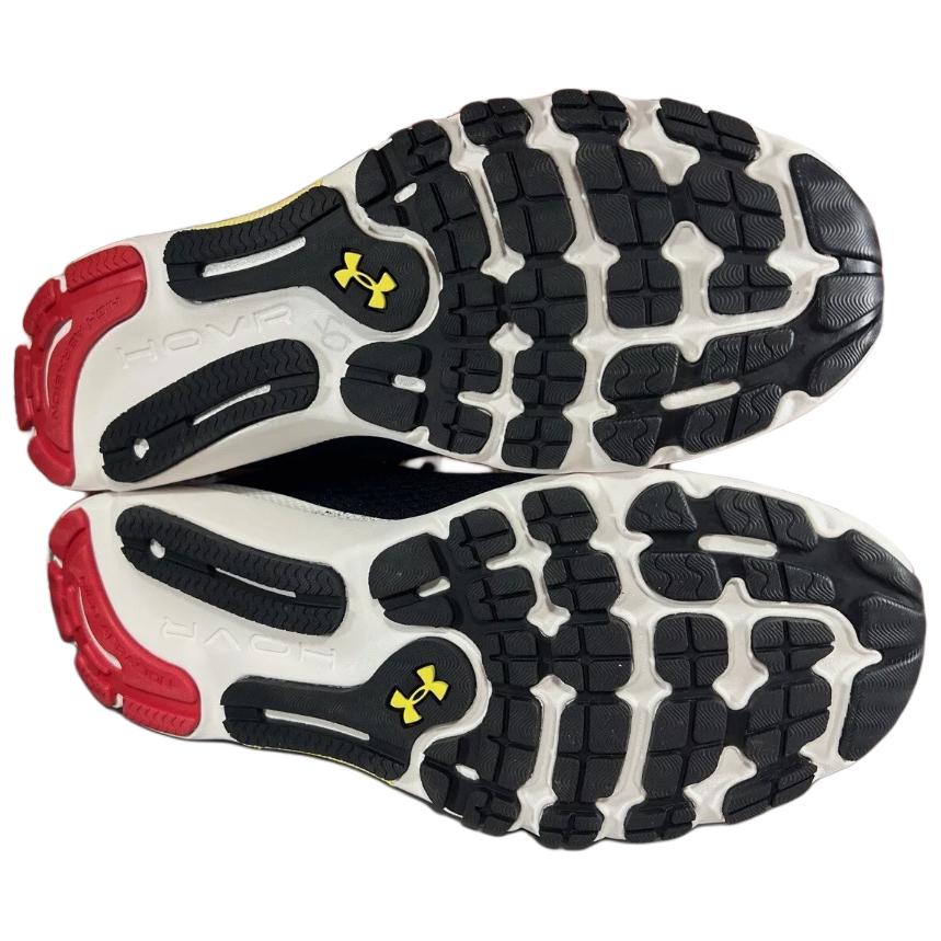 Shop （女性）Under Armour HOVR Infinite 5 Collegiate『馬里蘭大學』3027422-003
