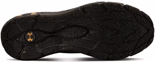 Purchase (女款)Under Armour HOVR Phantom 2 ‘金屬金光澤’ 3023903-001