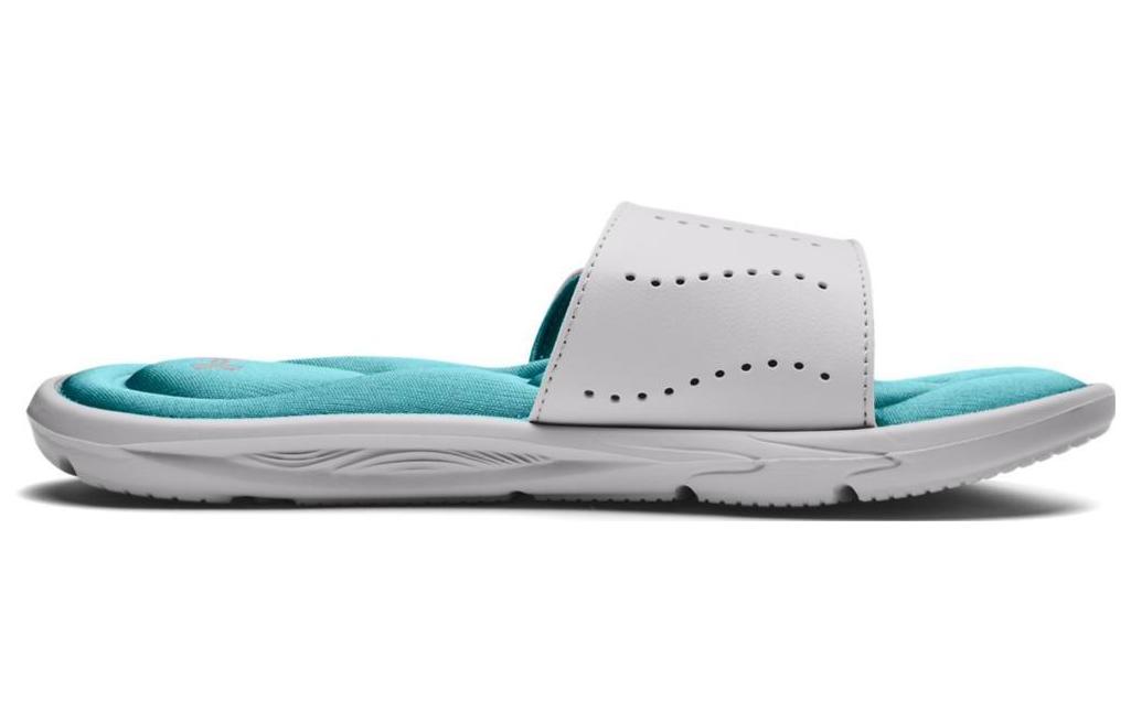 Order (W) UAイグナイト9スライド「ヘイローグレーコスモス」 3022717-105