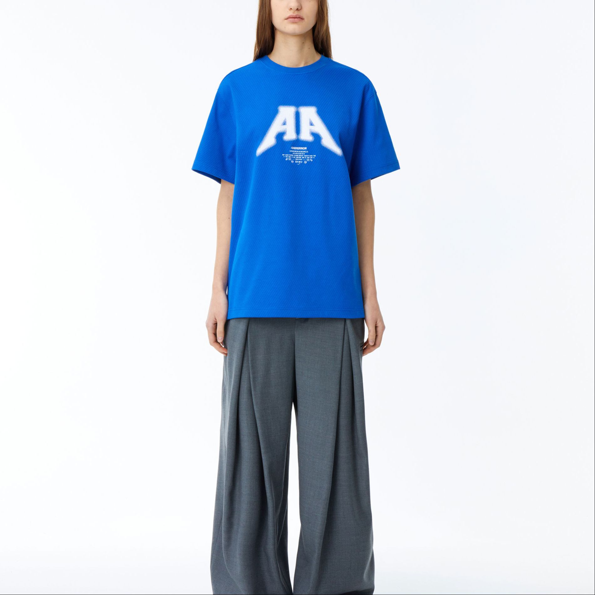 Shop (W) ADER ERROR SS24 Baju T Graphic Embroidery & Print Biru BN01SSTS0105BL