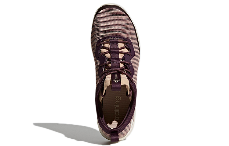 Purchase (W) adidas Adipure 360.4 ''Marron'' CP9514