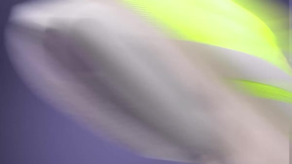 Lookbook (W) Adidas Adizero Boston 13 Kuning Solar/Putih/Plum Muda JP9246