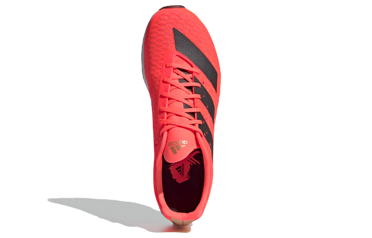 Purchase (W) adidas Adizero Xc Sprint Oranje/Zwart/Wit EG8462