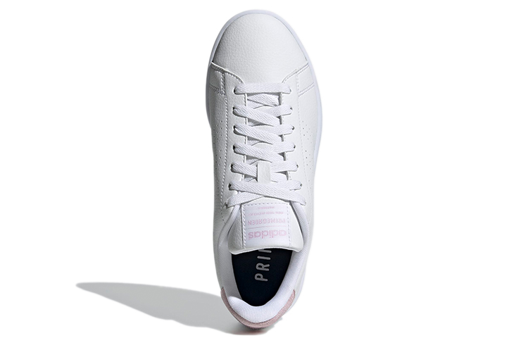 Purchase （女款）adidas Advantage「白色氣粉」GW4847