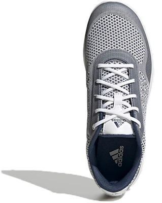 (W) 阿迪达斯Alphaflex Sport无钉高尔夫鞋‘灰蓝’ FW7483 Purchase (W) 阿迪达斯Alphaflex Sport无钉高尔夫鞋‘灰蓝’ FW7483