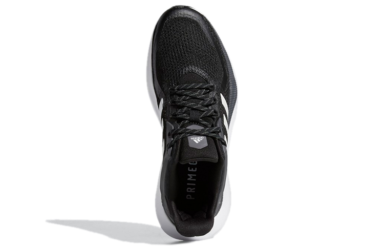 Purchase (W) adidas Alphatorsion 2.0 ''Noir Blanc'' GZ8766