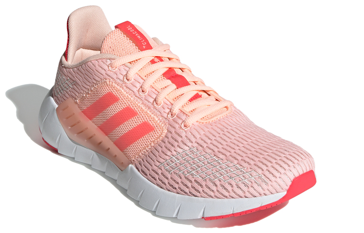 Lookbook (W) 阿迪达斯 Asweego CC '震撼红' F36328