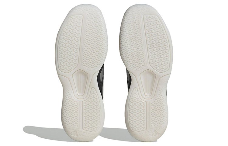 Details for (W) アディダス Avaflash Low 黒銀メタリック IG9543