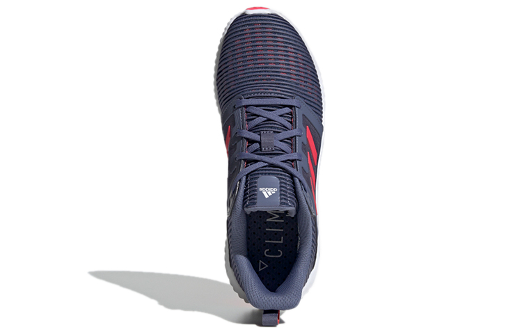Purchase (W) adidas Climacool Vent ''Blauw Roze Wit'' B41604
