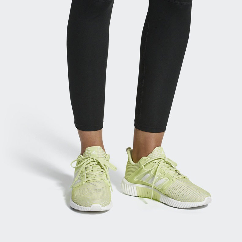 Purchase (W) adidas Climacool Vent Mujer Amarillo CM7401