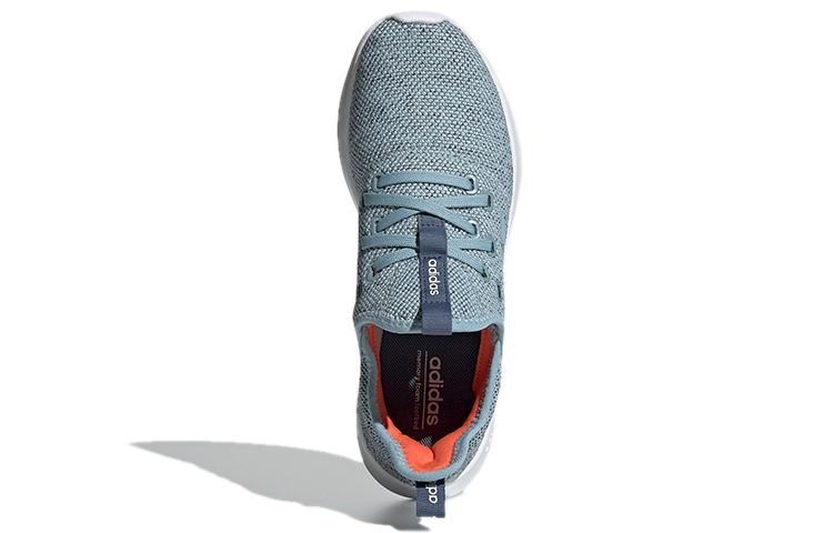Purchase (W) adidas Cloudfoam Pure Schuhe Blau F34673