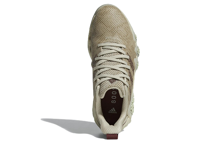 Purchase (W) adidas CodeChaos 22 ''Bliss Burgundy'' Golfschuhe GX2613