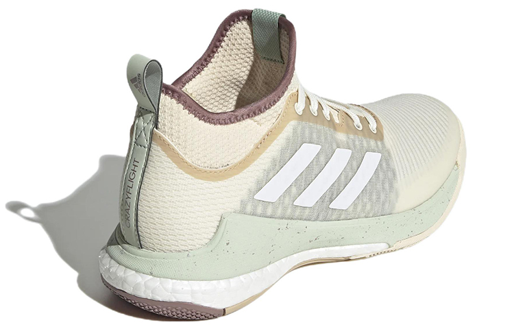 Shop （女性）adidas Crazyflight '米白酪杏色' GX1258
