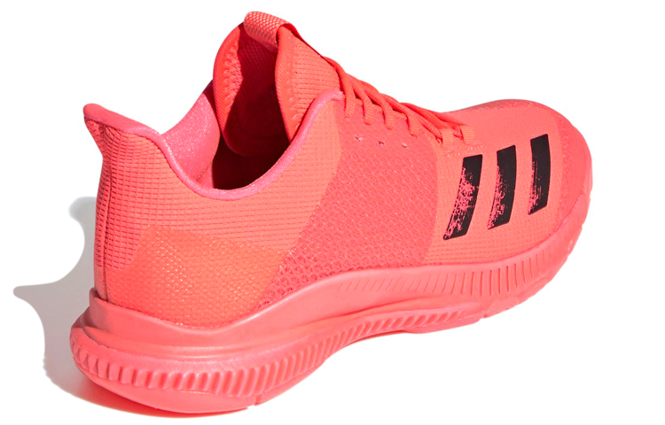 Shop (W) adidas Crazyflight Bounce Tokyo ''Rouge Noir'' FX1769