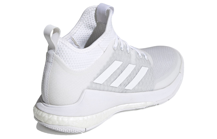 Shop (W) adidas Crazyflight Mid ''Blanc Nuage'' EF6526