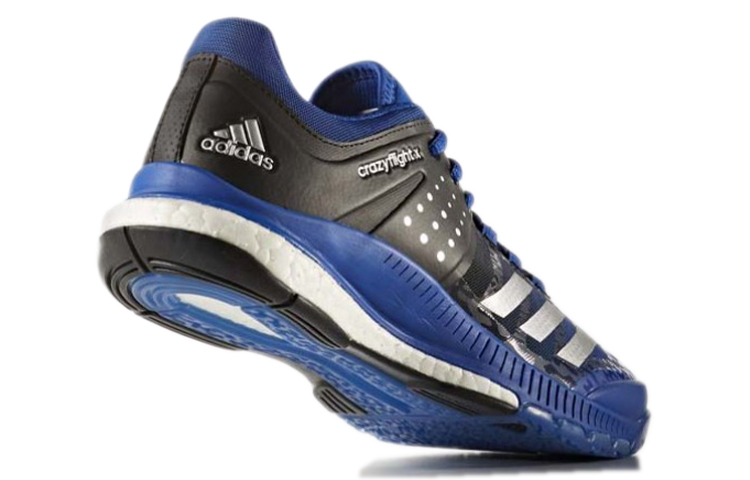 Shop (W) adidas Crazyflight X 'Collegiate Royal' Sepatu Voli BA9265