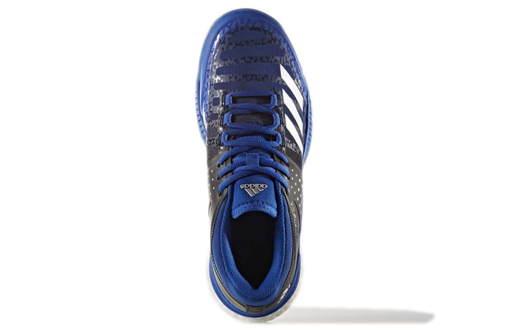 Purchase (W) adidas Crazyflight X 'Collegiate Royal' Sepatu Voli BA9265