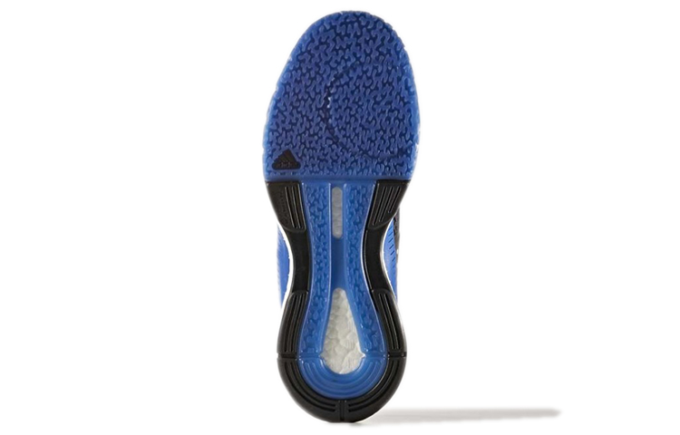 Details for (W) adidas Crazyflight X 'Collegiate Royal' Sepatu Voli BA9265