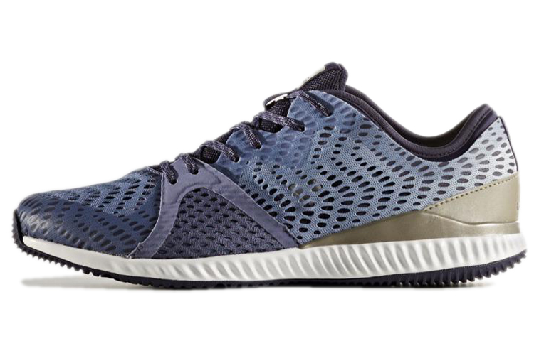 (Women) adidas CrazyTrain Pro 'Blue White' BB3251