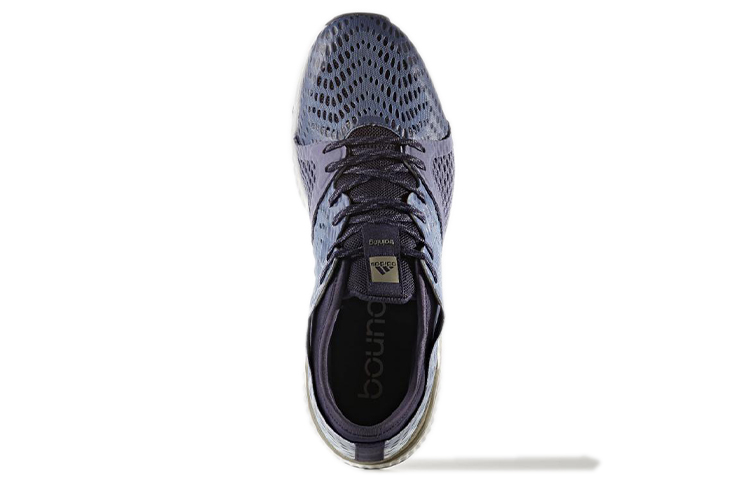 Purchase (W) adidas CrazyTrain Pro ''Blu Bianco'' BB3251