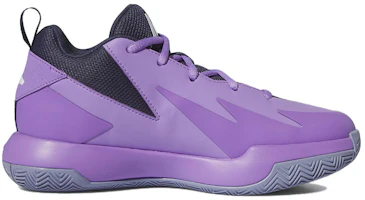 Order (W) アディダス クロスエムアップ 紫銀 (Adidas Kurosuemuappu Murasamegin) IE9254