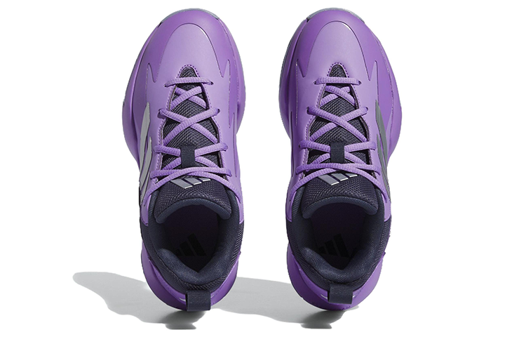 Purchase (W) adidas Cross Em Up ''Violet Argent'' IE9254