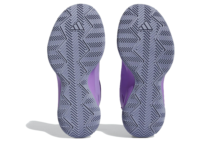 Details for (W) adidas Cross Em Up ''Violet Argent'' IE9254