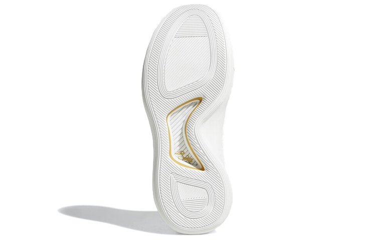 Details for (W) adidas D Rose 9 Weiß Gold AC7439