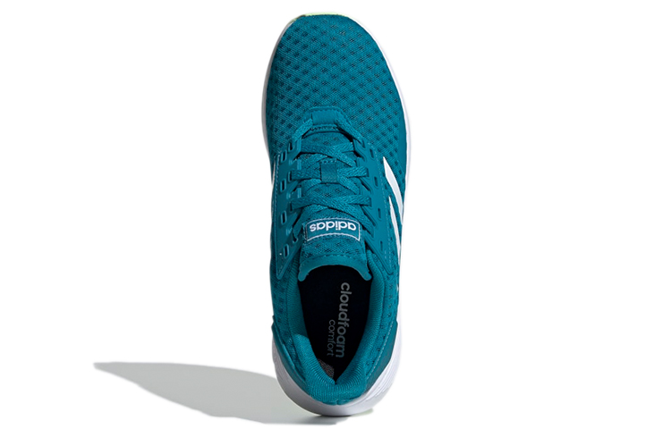Purchase (W) adidas Duramo 9 ''Blau Weiß'' EE8041