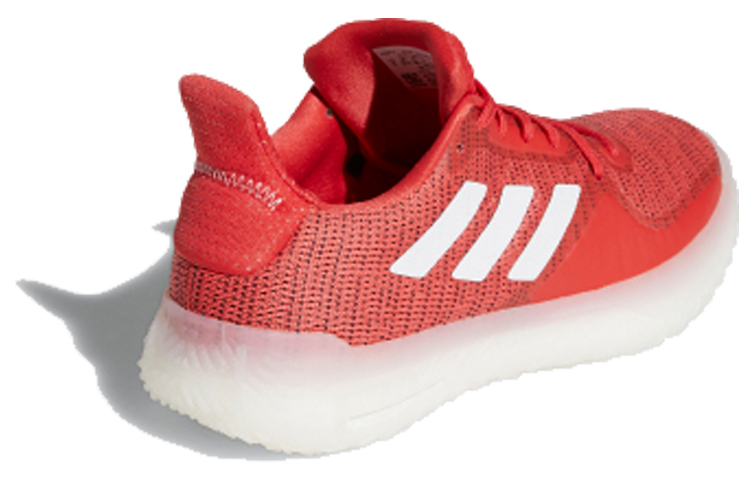 Lookbook (W) adidas Fit Pr Trainer Rouge/Blanc EE4607