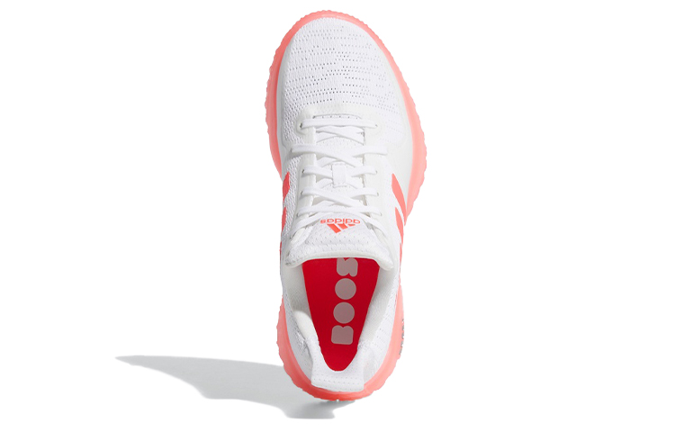 Purchase (W) adidas Fit Pr Trainer Blanc/Rose FV6935