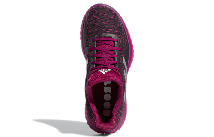 Purchase (W) adidas Fitboost ''Zwart Paars'' FV6940
