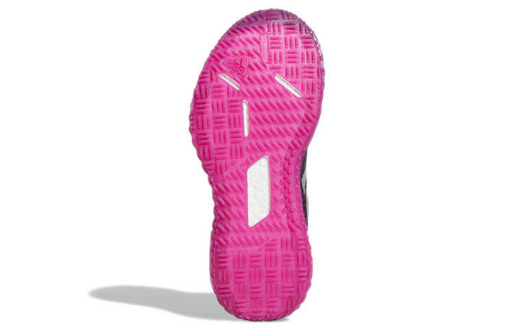 Details for (W) adidas Fitboost ''Zwart Paars'' FV6940