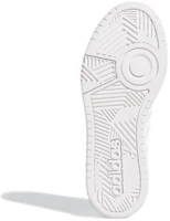 Details for (Women) adidas Hoops 3.0 Low 'White Dash Grey' GW3036